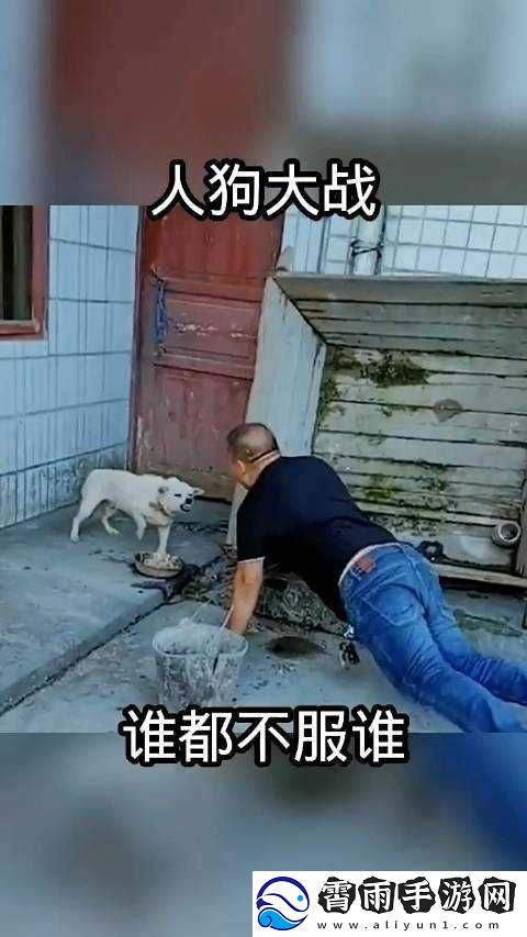python-人狗大战精彩瞬间：不容错过