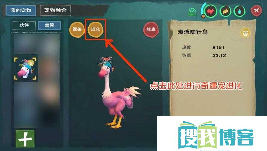 创造与魔法宠物捕捉攻略