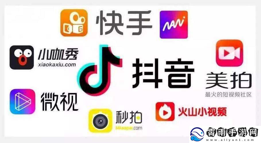成品短视频软件网站大全app：各类短视频资源汇聚