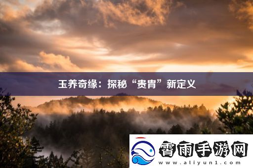 玉养奇缘：探秘“贵胄”新定义