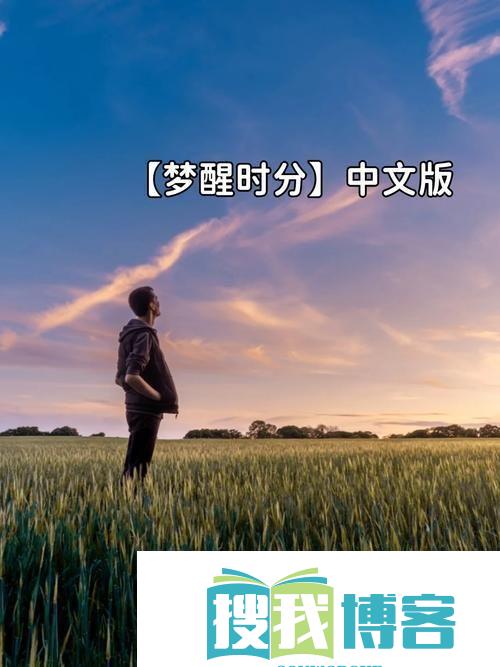 意乱情大：游走于梦醒之间的魔性狂想曲
