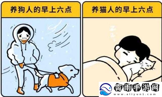 成品人和精品人有何区别：解析两者差异