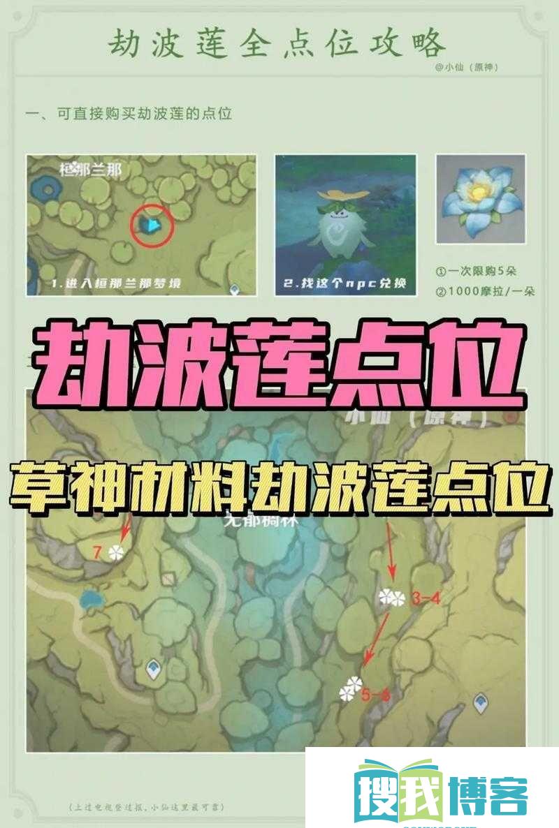 四叶草私人研究所的研究成果-重大发现与突破