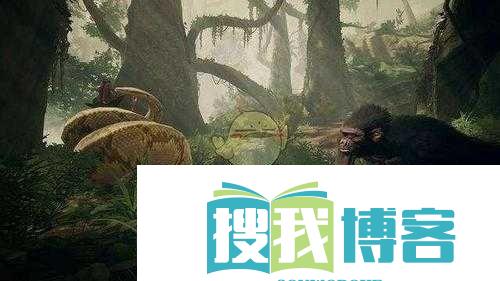 先祖人类奥德赛寻找木棉方法指南