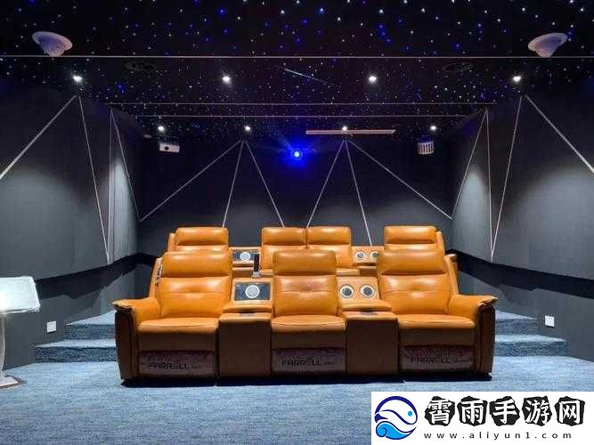 家庭影院-335：私人观影的绝佳之选