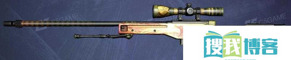 日本-csgo-大姐姐-awp-多少钱：其价值分析