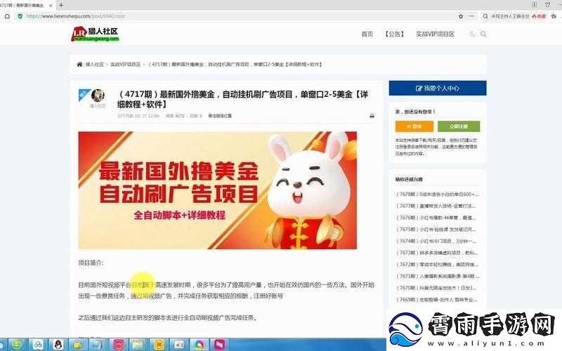 网站免费进入窗口软件
