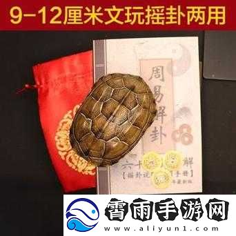 龟壳珍宝如何搭配