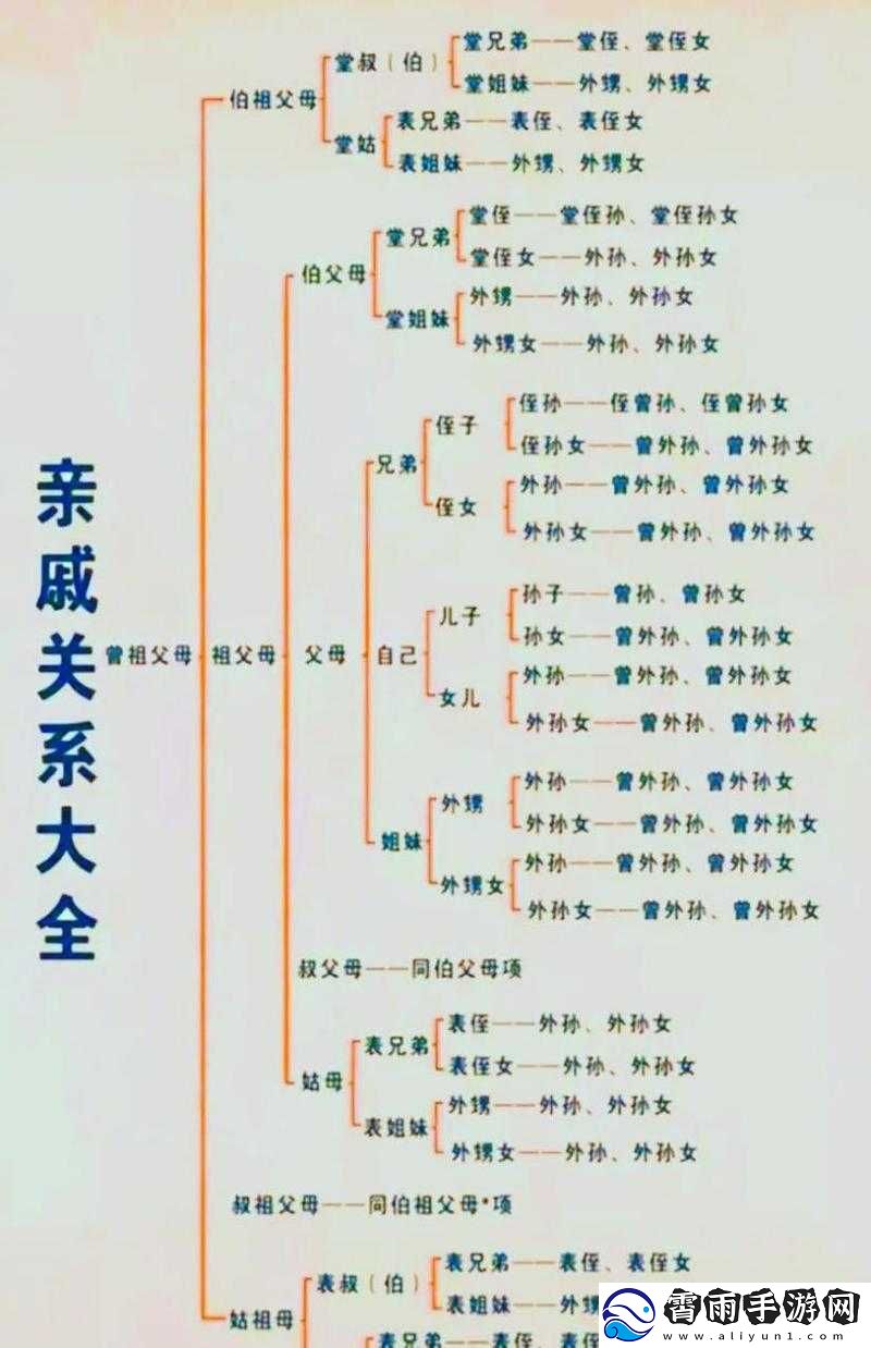 我的小后妈