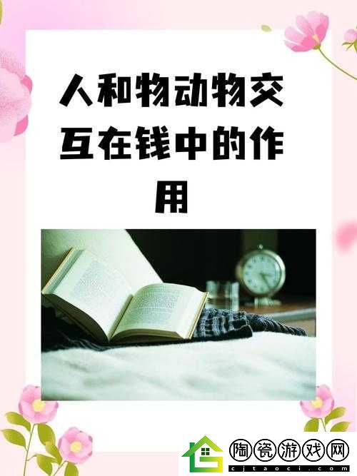 人和物动物交互在钱中的作用：探究与分析