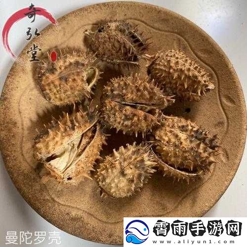 药效