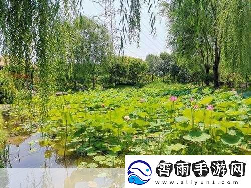 迈开腿让老师尝尝你的森林
