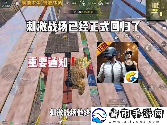免费国外-b-站刺激战场直播-app：畅享游戏乐趣