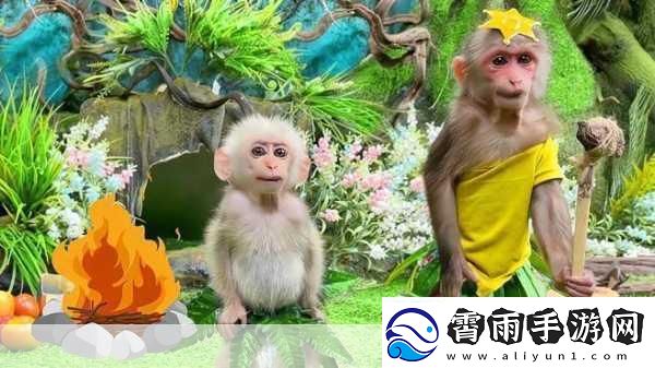 两只猴子可以成为夫妻吗-猴子的爱情与婚姻观探讨