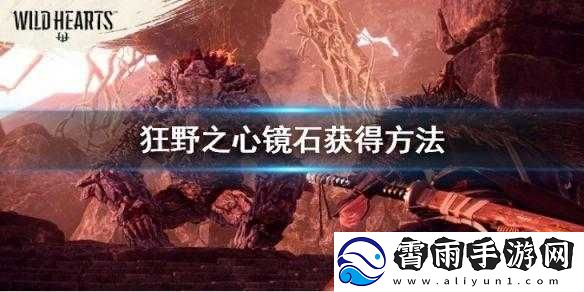 狂野之心镜石获取方法与攻略解析