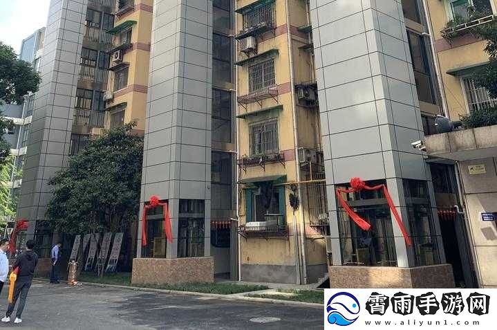 老谢赵敏业主维修工
