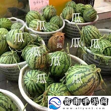 51-今日大瓜：热门大瓜莫里秀-瓜瓜精彩