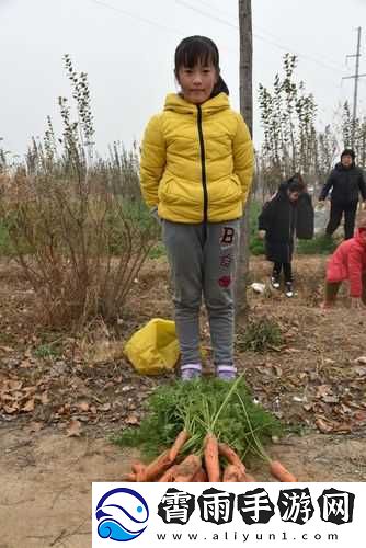 拔萝卜降黄