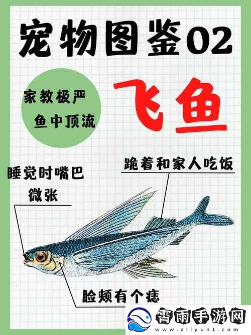 仙侠奇缘飞鱼介绍