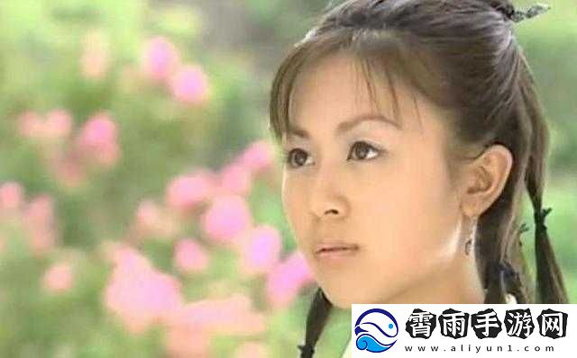 角色扮演系统-npn赵青蔓的奇妙之旅