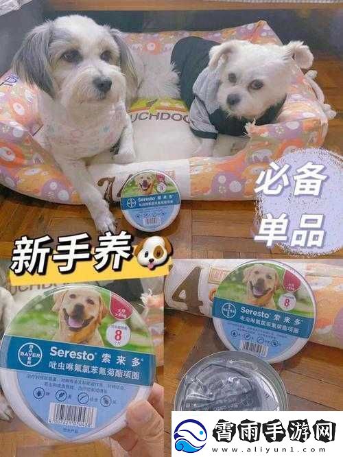 人狗胶配方大全狗狗一天吃多少：实用指南