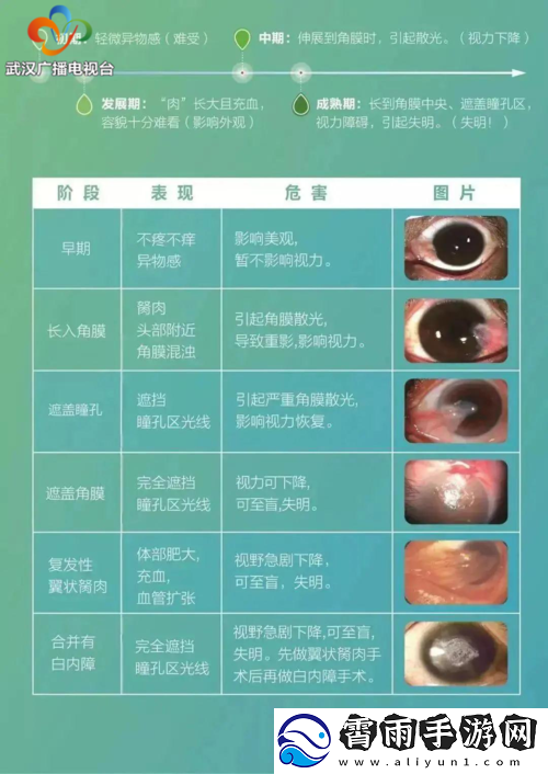 获得超级胬肉系统怎么办：获取途径和使用方法