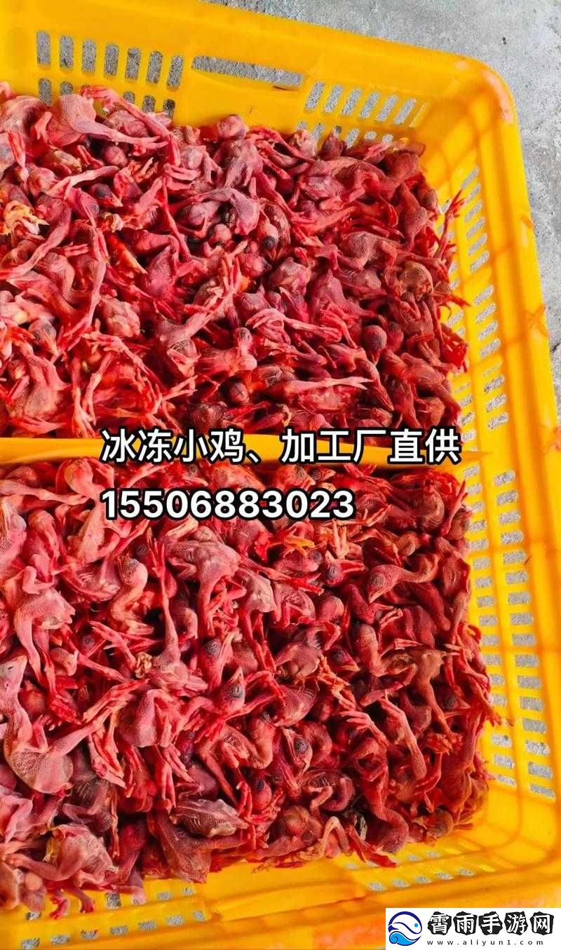 冷冻食品在家中保存多久-小鸡宝宝考考你