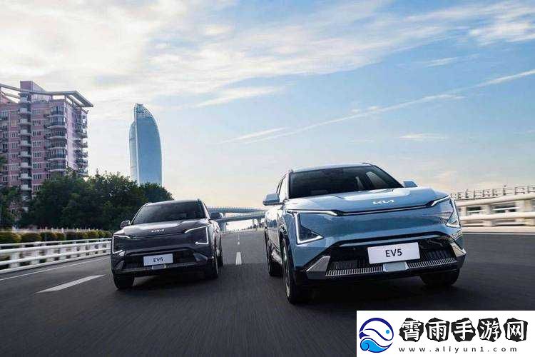肉肉的小黄车：出行好帮手