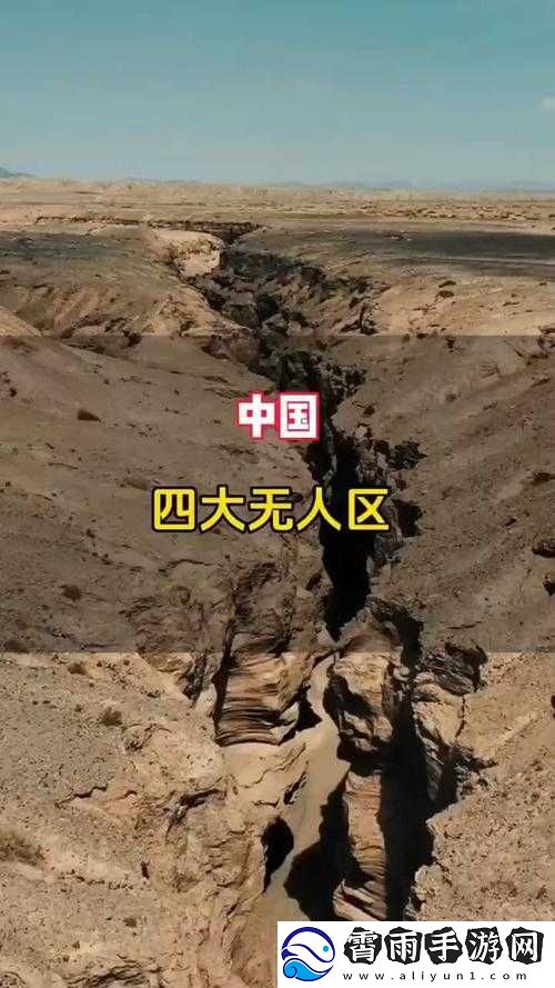 无人区码一码二码三码是什么ww