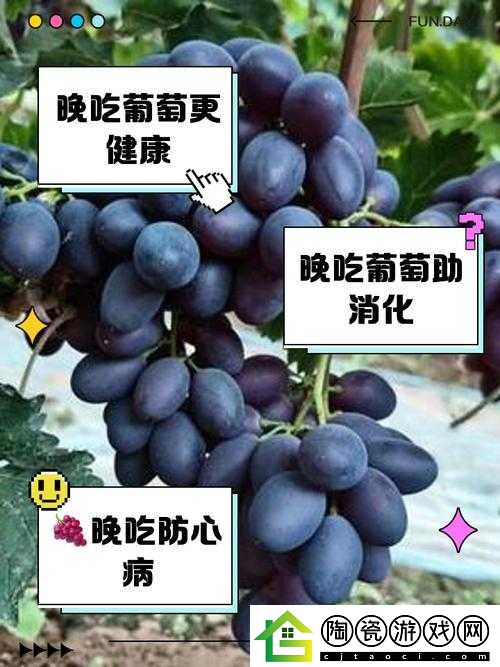 葡萄不准掉出来晚上检查：严抓偷吃行为