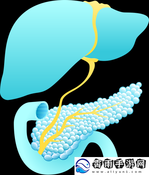 吃饭时紧密连接的部位：探秘其背后意义