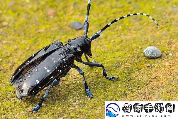 探索神秘花园