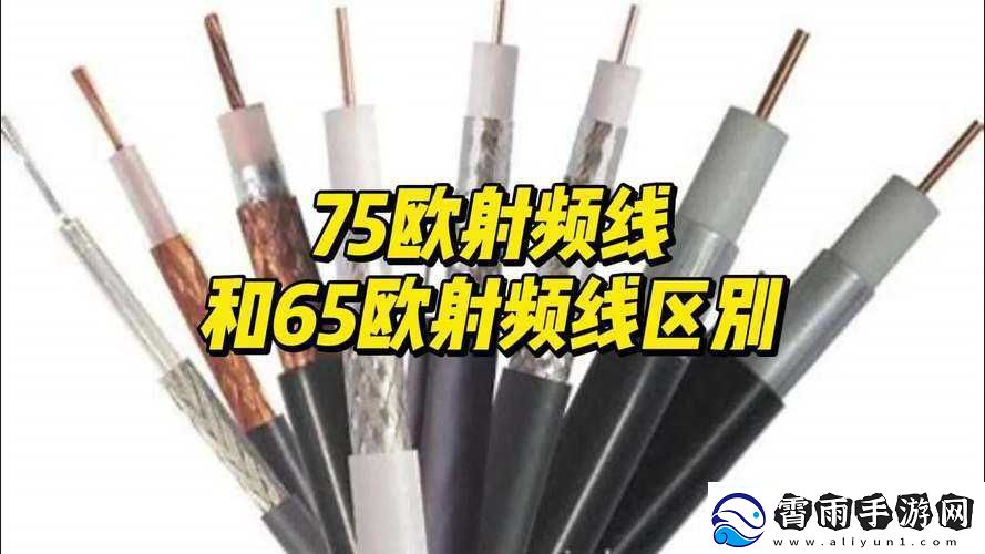 75-欧-RF-射频线：优质传输的选择