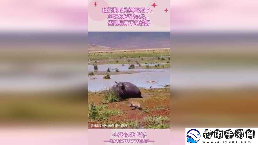 蘑菇视频爆料黑料吃瓜：娱乐圈的惊天秘密