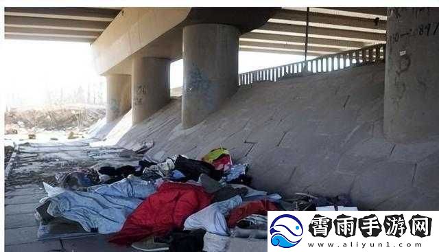 流浪汉拉我进桥底免费阅读：一个温暖的故事