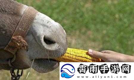 傻大壮长着驴一样的东西