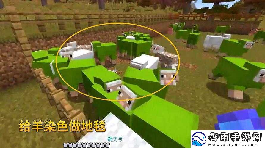 籽岷我的世界探险记：解密羊群的秘密