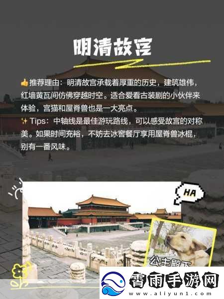 迷你西游易信关注礼包怎么领-最新攻略大揭秘