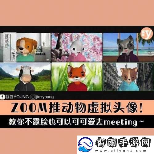 Zoom