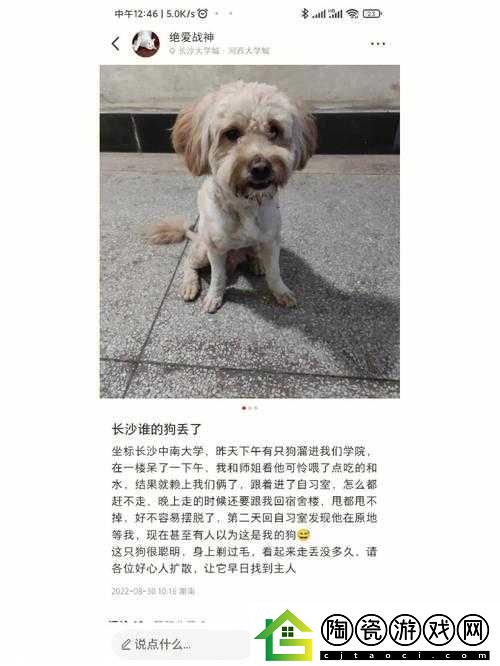 人狗胶配方大全狗狗一：相关介绍