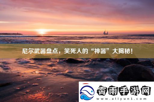 尼尔武器盘点