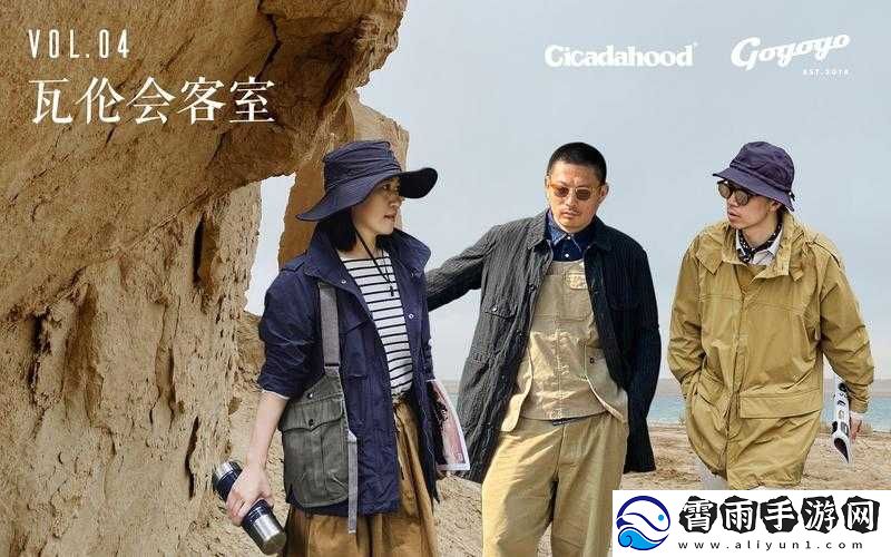 GOGOGO-中国剧情介绍与评价之深度解析