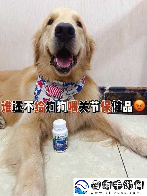人狗胶配方大全狗狗：关于它的详细介绍