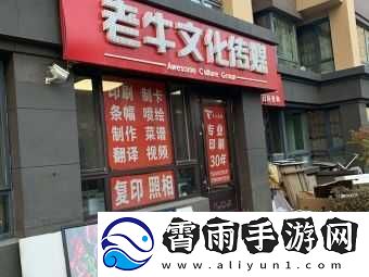 老牛影视文化传媒有限公司官方播放流畅平台