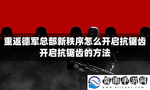 德军总部新秩序抗锯齿设置方法