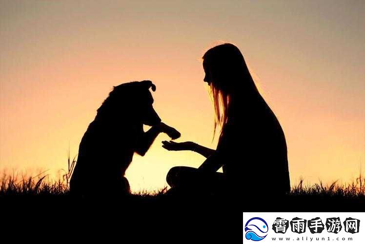 人与动物互动