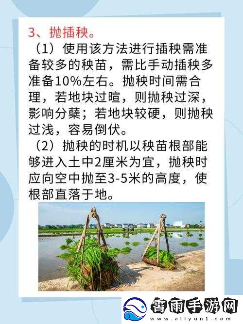 情侣的