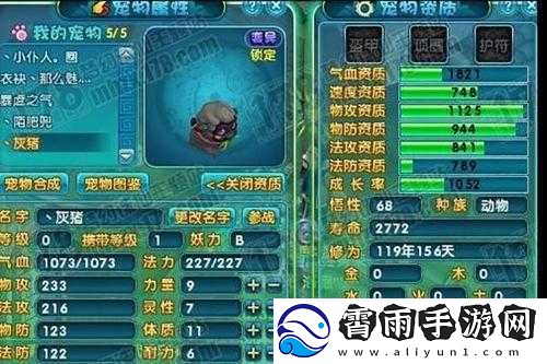 梦幻诛仙手游兜兜大逃亡高分攻略与技巧