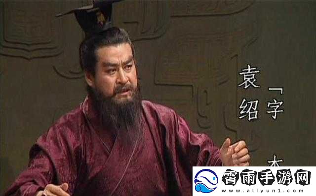 袁绍英雄能力全面解析