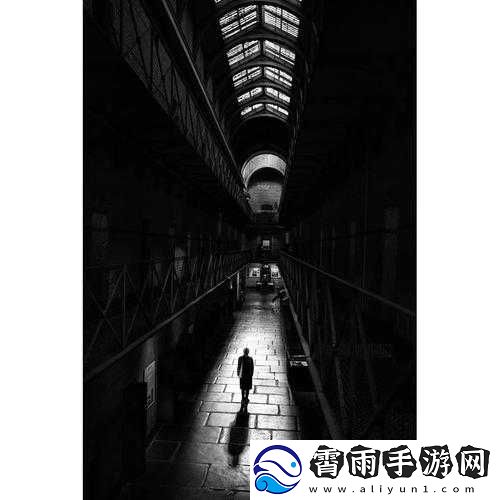 欧美音乐视频中的经典黑白风格致敬：永恒的魅力